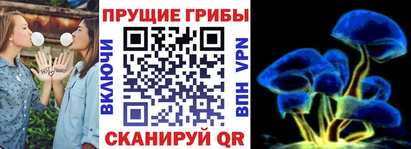 Псилоцибиновые грибы ЛСД  mega ССЫЛКА  Инсар 