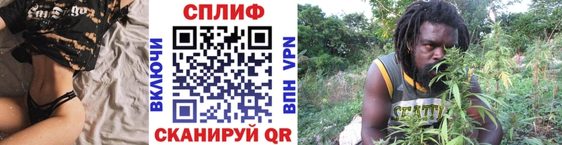 Конопля сатива  Инсар 